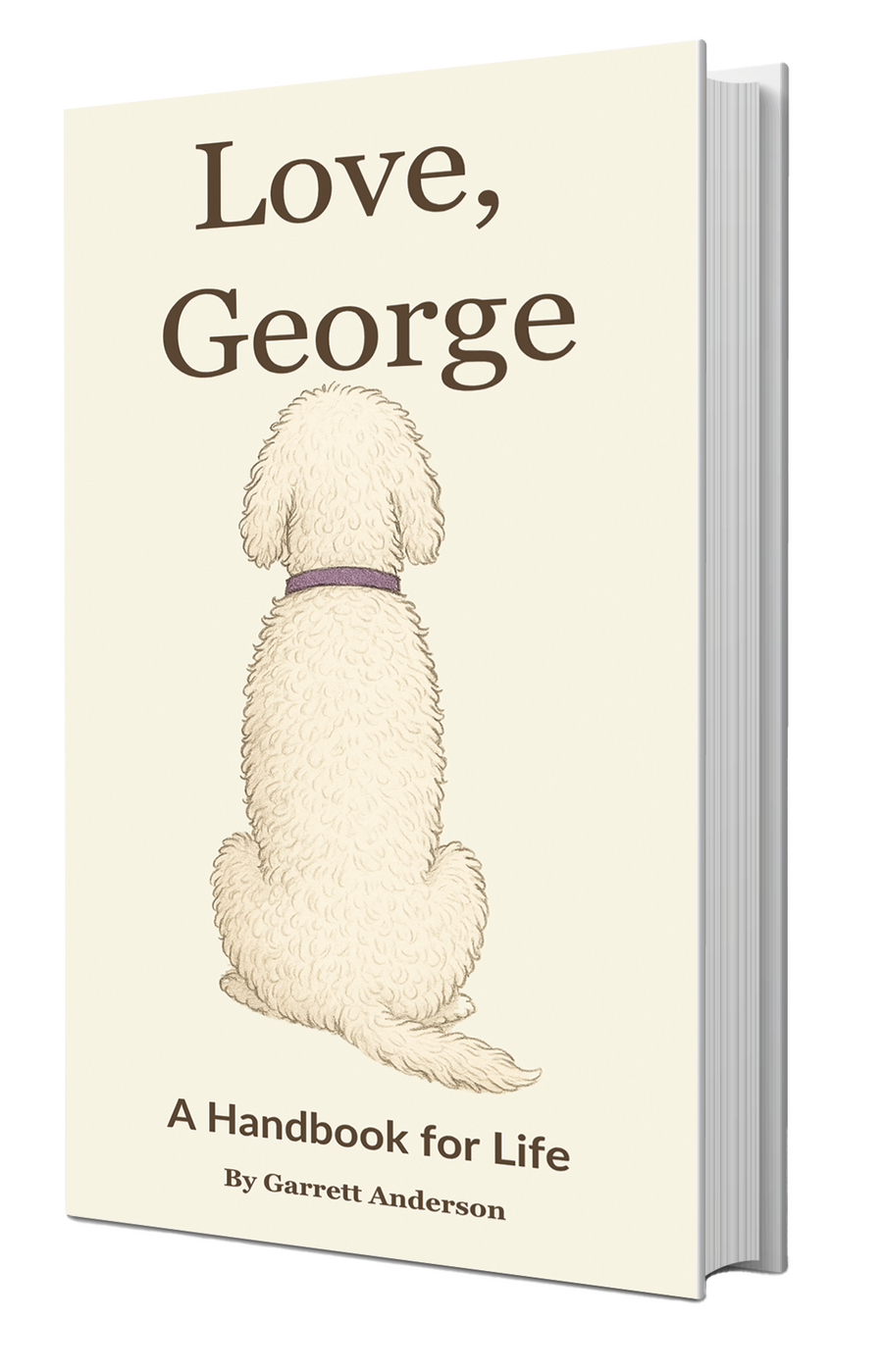 Love, George - A Handbook for LIfe